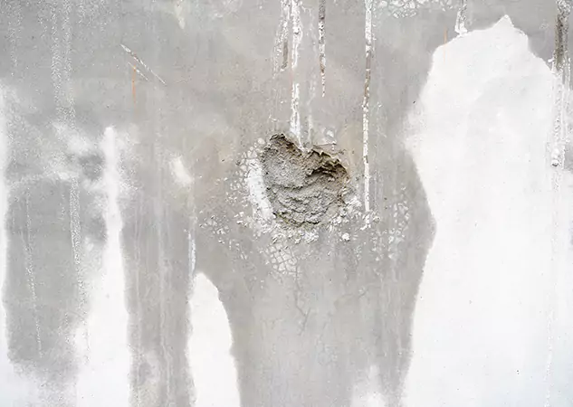 Your Mold Mitigation Solutions Partner in Bowdon Junction, GA