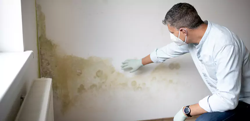 Mold and Water Damage Repair in Bowdon Junction