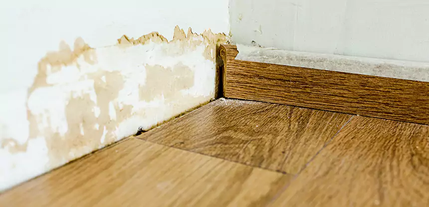 Professional Fix Water Damaged Wood Services in Bowdon Junction, GA
