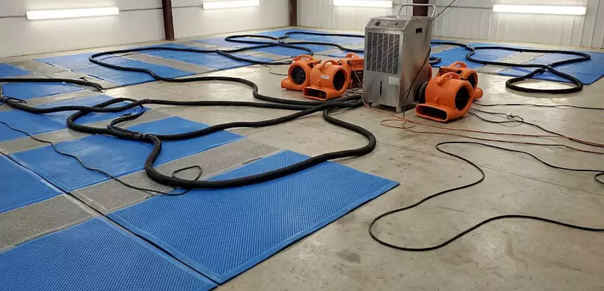 Professional Flooded Carpet Drying Services in Bowdon Junction, GA