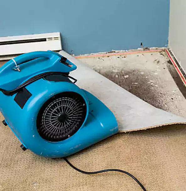 Why Bowdon Junction Trusts Bowdon Junction Restoration Pro for Carpet Flood Recovery?