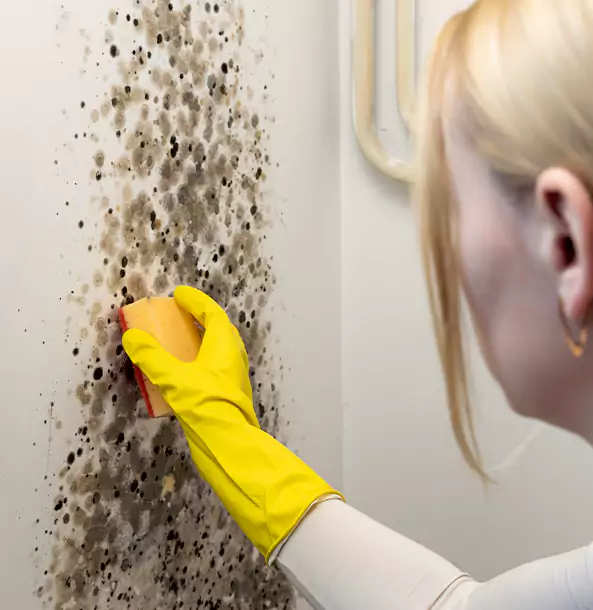 Why Bowdon Junction Restoration Pro Leads Mold Remediation in Bowdon Junction?