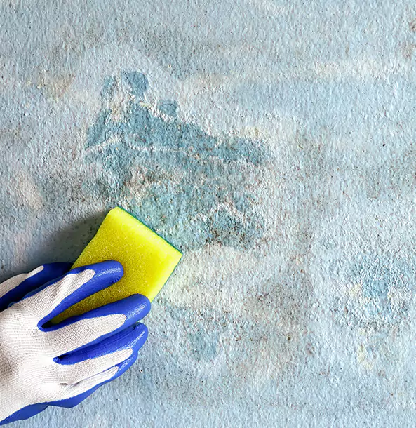 Why Bowdon Junction Restoration Pro Is the Right Choice in Bowdon Junction, GA?