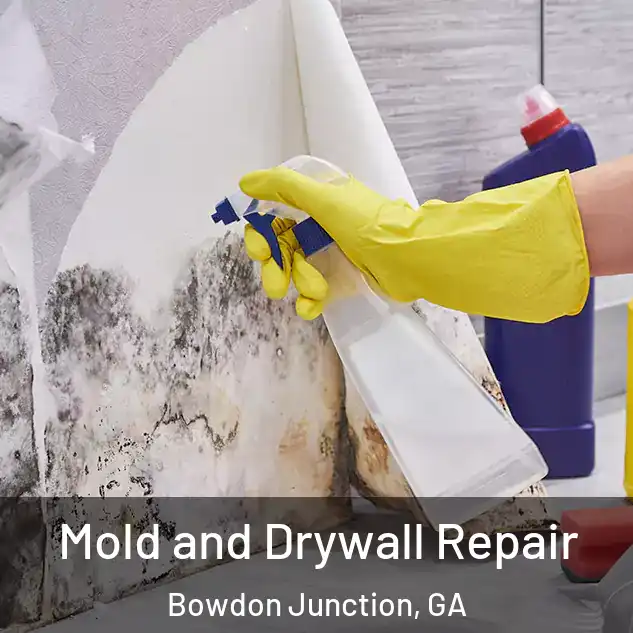  Mold and Drywall Repair Bowdon Junction, GA