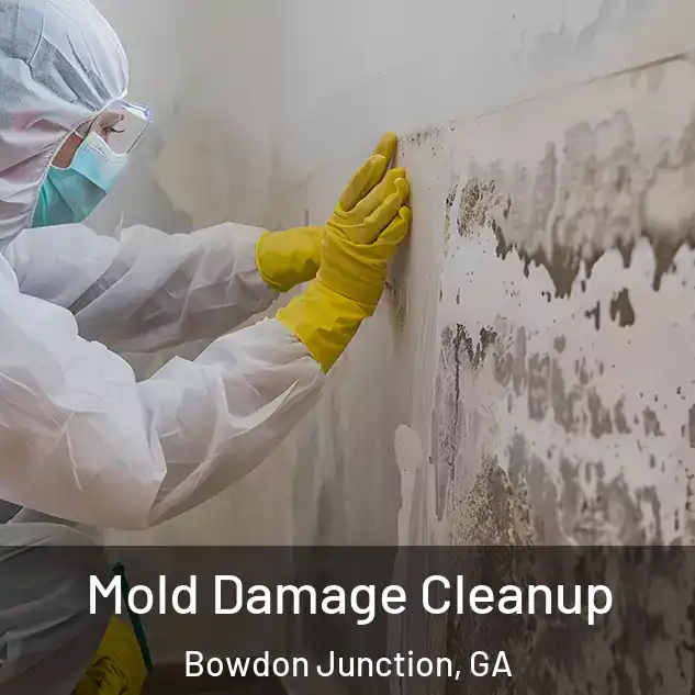  Mold Damage Cleanup Bowdon Junction, GA