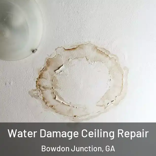  Water Damage Ceiling Repair Bowdon Junction, GA