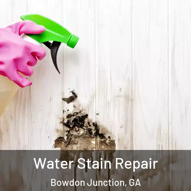  Water Stain Repair Bowdon Junction, GA